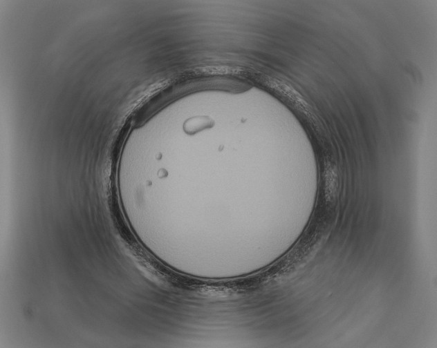 X0000113060490200909250912