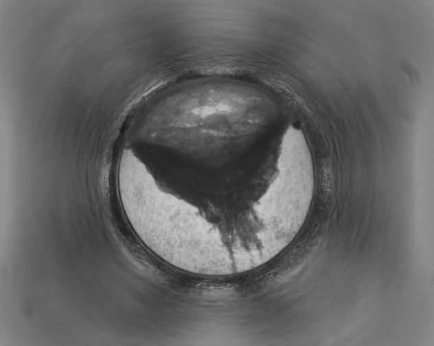 X0000113060491200909250912