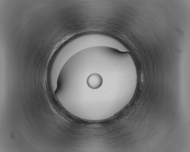 X0000113060492200909250912