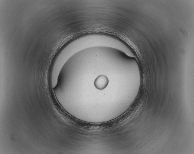 X0000113060493200909250912