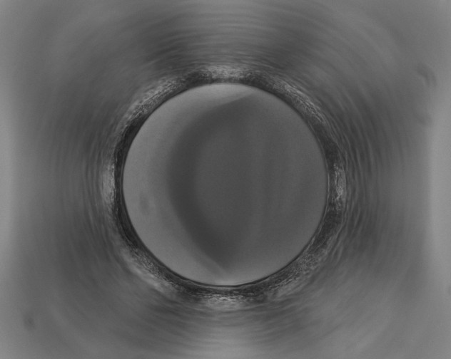 X0000113060494200909250912