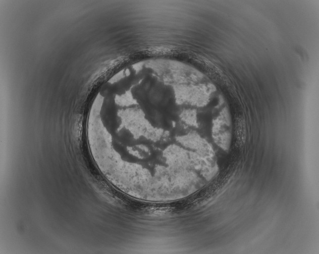 X0000113060495200909250912