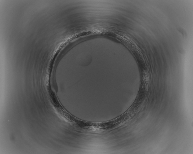 X0000113060496200909250912