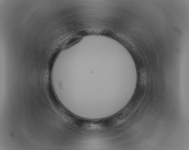 X0000113060498200909250912