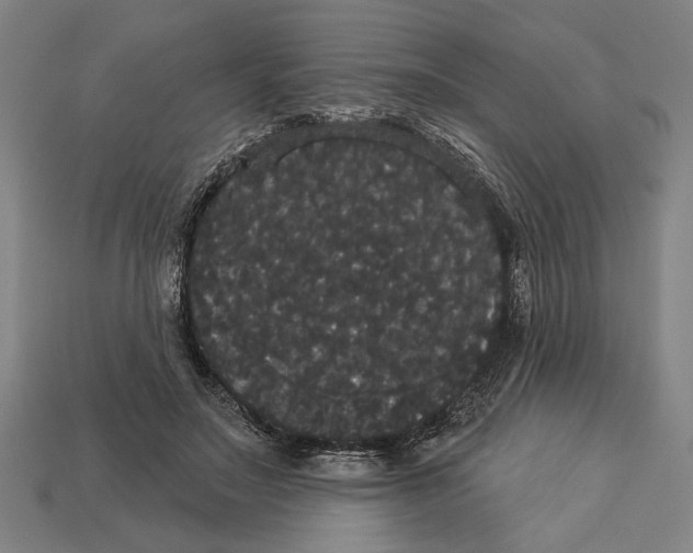 X0000113060499200909250912