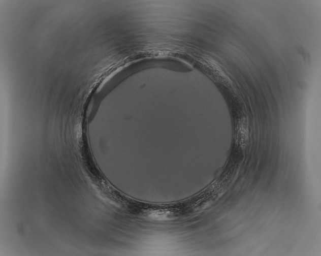 X0000113060500200909250912