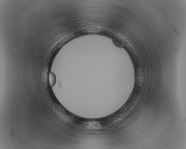 X0000113060501200909250911