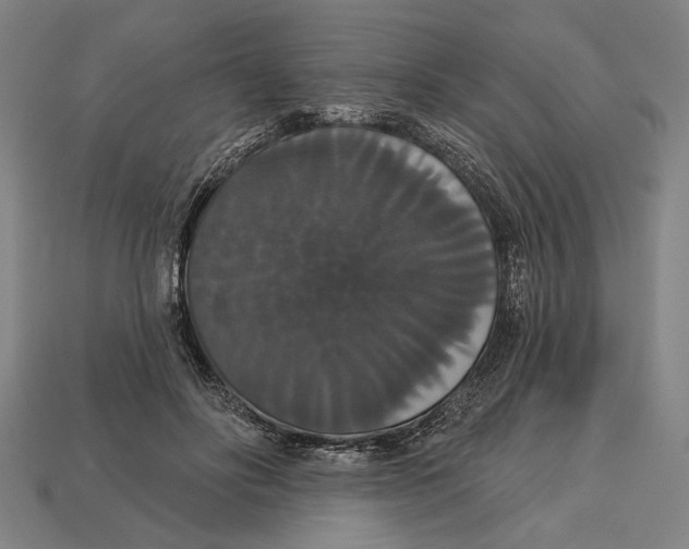 X0000113060502200909250911