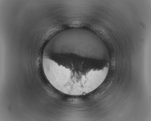 X0000113060503200909250911