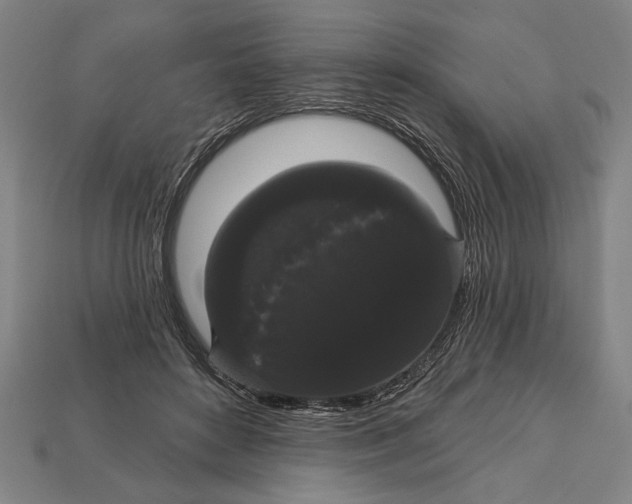 X0000113060504200909250911