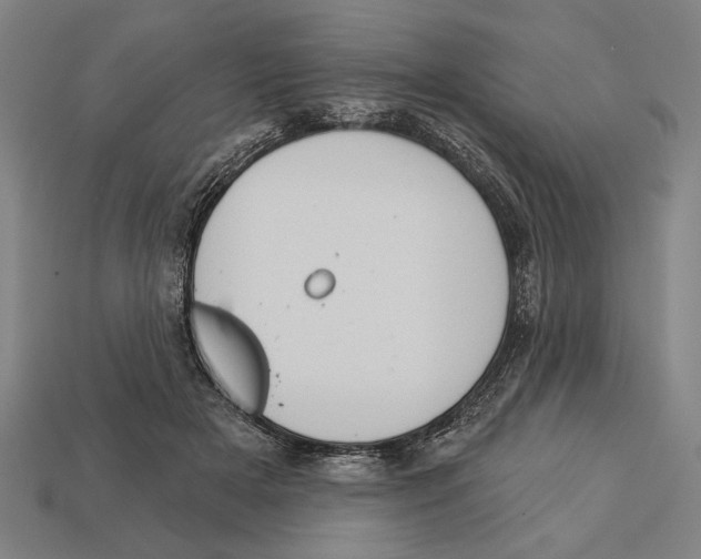 X0000113060505200909250911