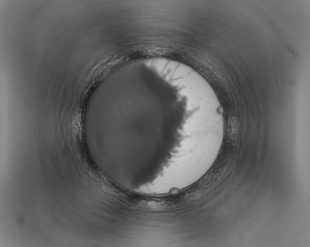 X0000113060506200909250911