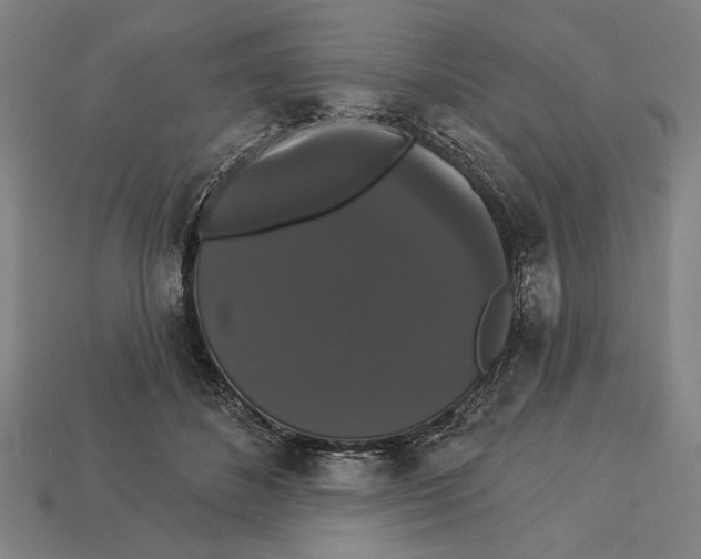 X0000113060508200909250911