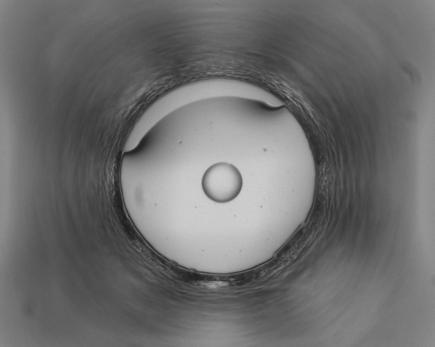 X0000113060509200909250911