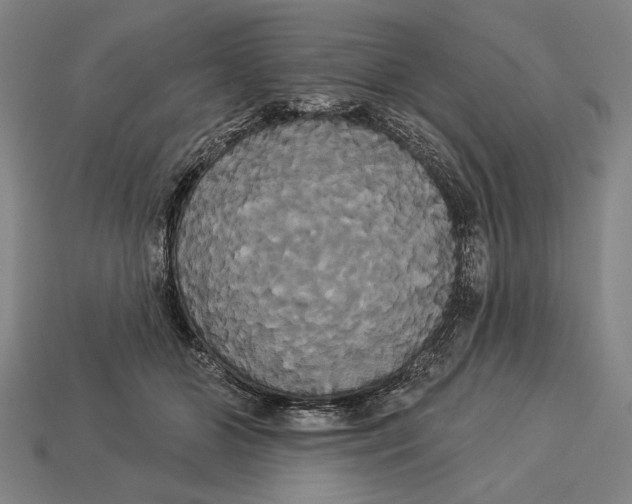 X0000113060510200909250911