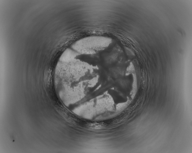 X0000113060511200909250911