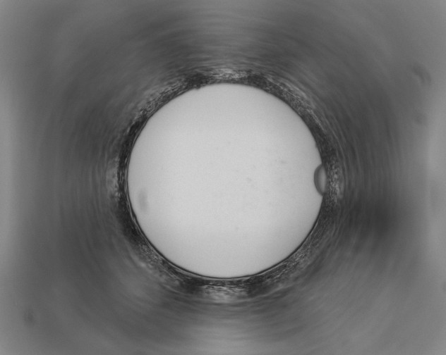 X0000113060512200909250911