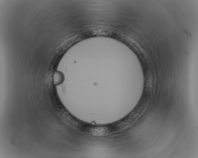 X0000113060513200909250911