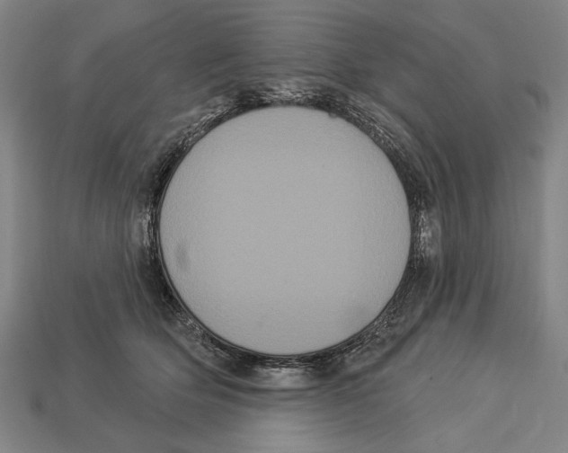 X0000113060514200909250911