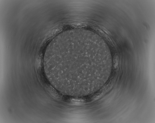 X0000113060515200909250911