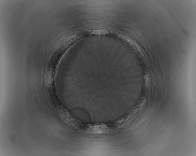 X0000113060517200909250911