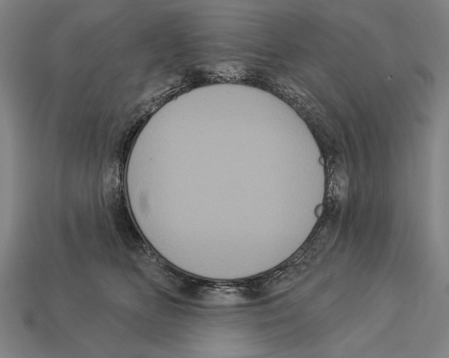 X0000113060518200909250911