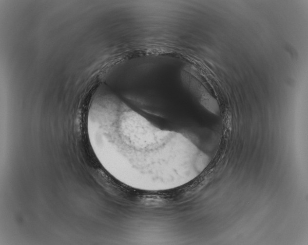 X0000113060519200909250911