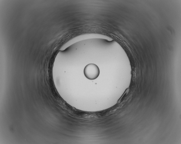 X0000113060520200909250911