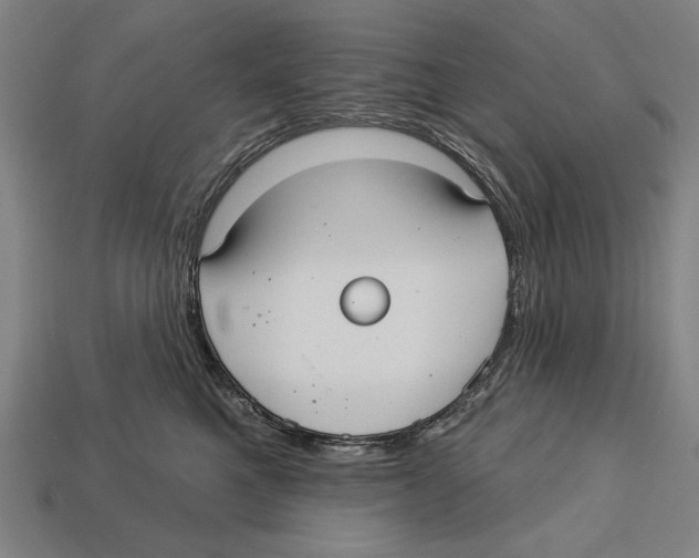 X0000113060521200909250911