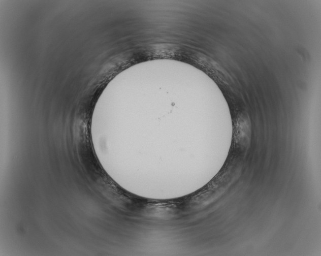 X0000113060522200909250911