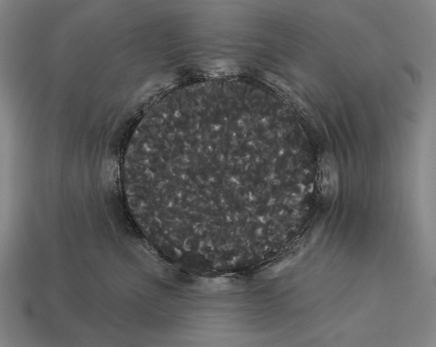 X0000113060523200909250911