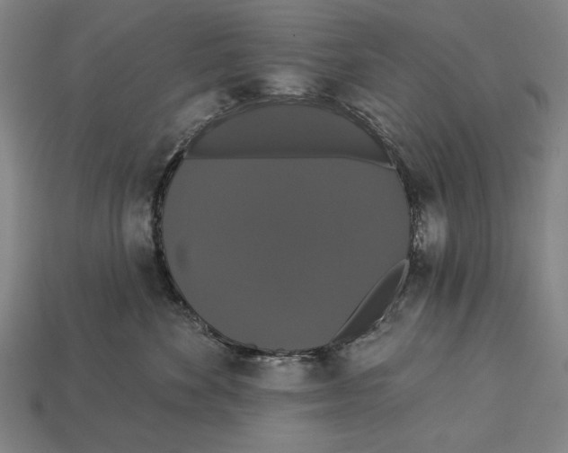 X0000113060524200909250911