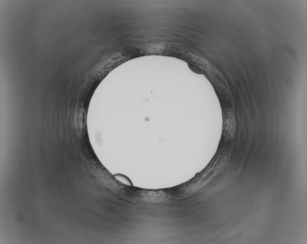 X0000113060525200909250911