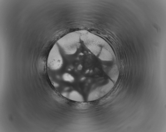 X0000113060527200909250911