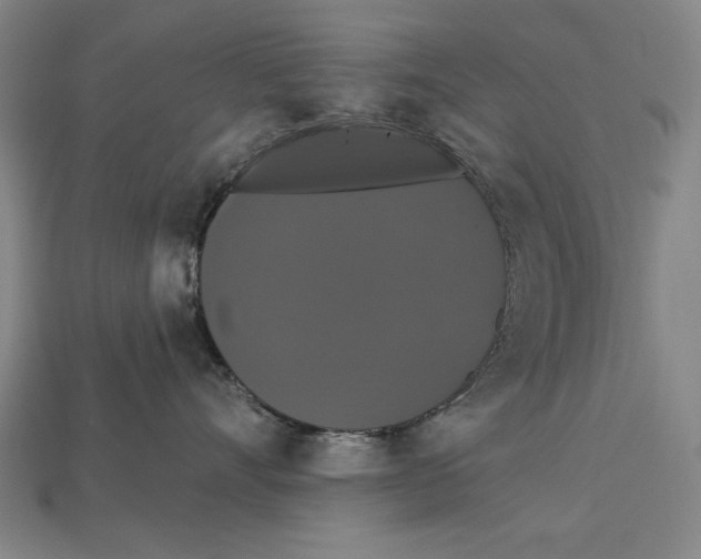 X0000113060528200909250911