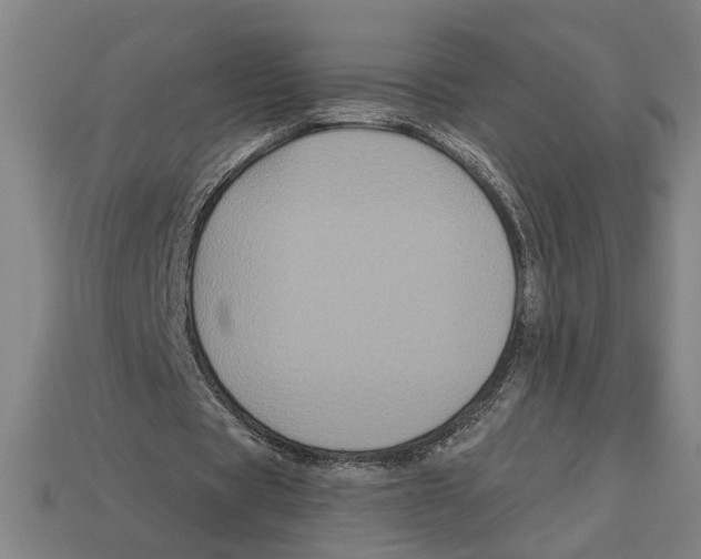 X0000113060529200909250911