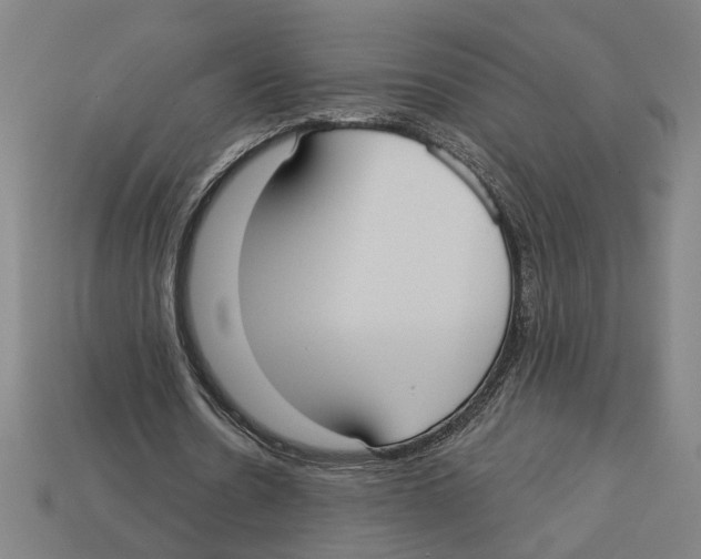 X0000113060530200909250911