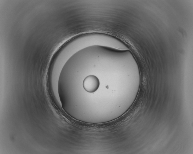 X0000113060532200909250911