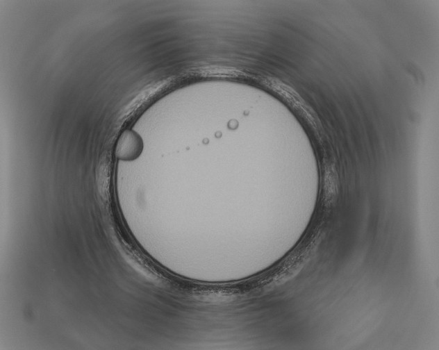 X0000113060533200909250911