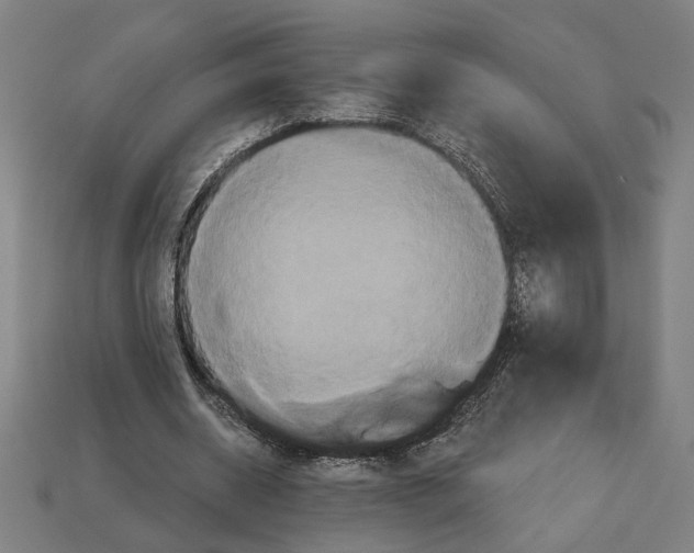 X0000113060534200909250911