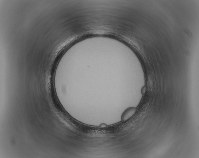 X0000113060535200909250911