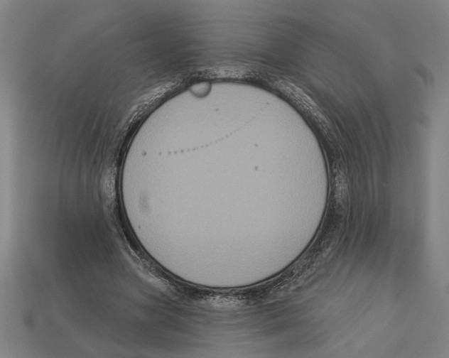 X0000113060537200909250911