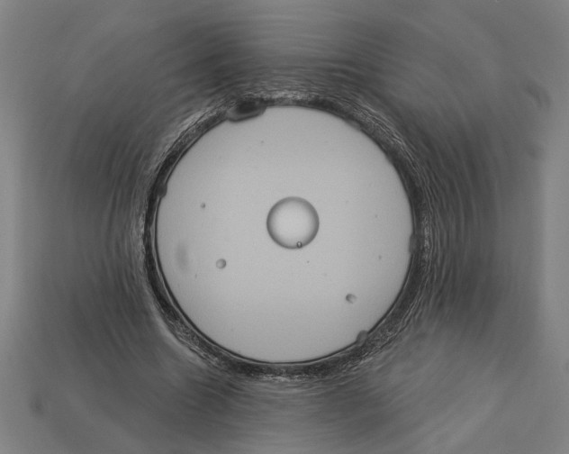 X0000113060538200909250911