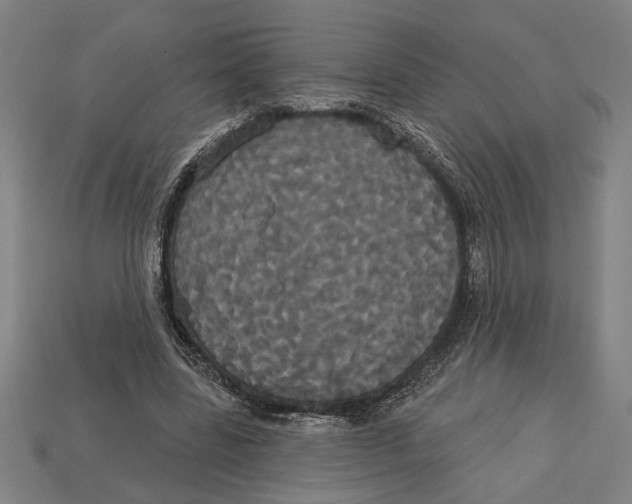 X0000113060539200909250911