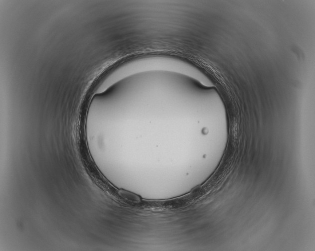 X0000113060540200909250911