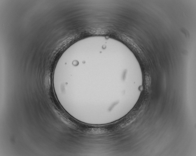 X0000113060541200909250911