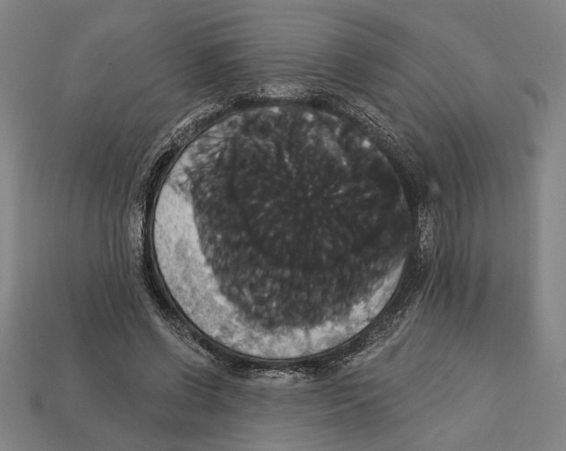 X0000113060542200909250911