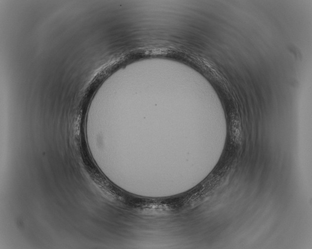 X0000113060543200909250911