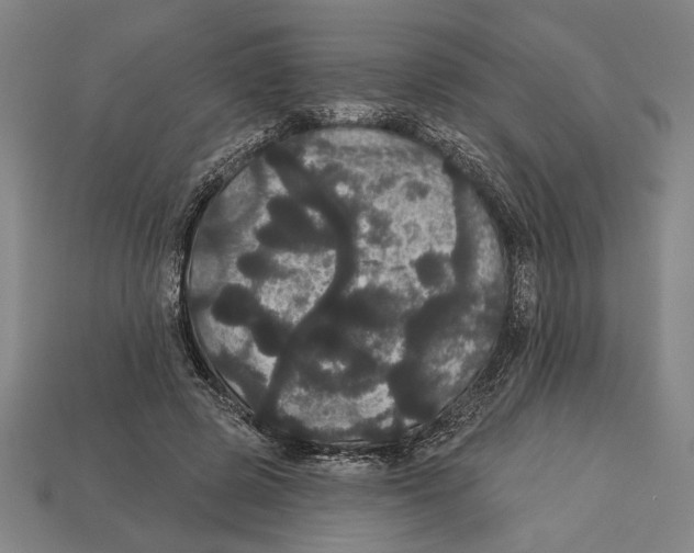 X0000113060545200909250911