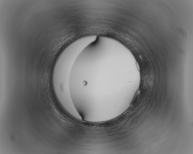 X0000113060546200909250911